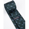 image:imageHISDERN Ties For Men Funny Holiday Mens Ties Handkerchief Animal Mens Neckties Silk Tie Pocket Square Set Business PartyGreendog