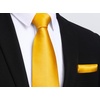 image:imageHISDERN Yellow Ties for Men Classic Silk Ties and Pocket Square Formal Business Polka Dot Necktie Handkerchief Set Wedding Party Prom Suit Neckties