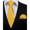 image:imageHISDERN Yellow Ties for Men Classic Silk Ties and Pocket Square Formal Business Polka Dot Necktie Handkerchief Set Wedding Party Prom Suit Neckties