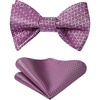 image:imageHISDERN Bow Ties for Men Solid Color Self Tie Bow Tie Pocket Square Set Classic Formal Satin Bowties for Tuxedo Wedding PartyK21purple