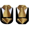 image:imageHISDERN Gold Mens Ties Silk Neck Tie for Men with Poacket Square Set 2PCS Tie Set