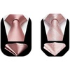 image:imageHISDERN Mens Ties Pink Ties for Men Classic Blush Pink Tie and Pocket Square Set Paisley Formal Necktie Handkerchief for Wedding Business Party School