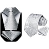 image:imageHISDERN Paisley Silver Ties for Men Solid Tie Handkerchief Mens Necktie amp Pocket Square Set Classic Mens Ties
