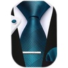 image:imageHISDERN Plaid Ties for Men Classic Checkered Tie and Pocket Square Cufflinks Tie Clip Set Woven Mens Necktie BusinessBteal