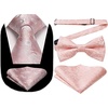 image:imageHISDERN PreTied Bow Tie Baby Pink Tie Formal Floral Ties for Men Handkerchief Woven Classic Mens Necktie Pocket Square Set Wedding Business