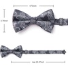 image:imageHISDERN Bow Ties for Men Paisley Floral Pretied Bowtie Pocket Square Set Mens Formal Bow Ties Wedding PartyBlack Paisley