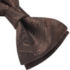 image:imageHISDERN Mens Bow Ties Self Tie Woven Satin Pocket Squares Set Formal Tuxedo Floral Paisley Bowties for Wedding Party PromBrown