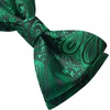 image:imageHISDERN Mens Bow Ties Self Tie Woven Satin Pocket Squares Set Formal Tuxedo Floral Paisley Bowties for Wedding Party PromGreen Paisley5