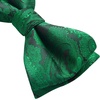 image:imageHISDERN Mens Bow Ties Self Tie Woven Satin Pocket Squares Set Formal Tuxedo Floral Paisley Bowties for Wedding Party PromGreen Paisley6