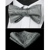image:imageHISDERN Mens Bow Ties Self Tie Woven Satin Pocket Squares Set Formal Tuxedo Floral Paisley Bowties for Wedding Party PromGrey