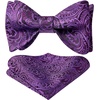 image:imageHISDERN Mens Bow Ties Self Tie Woven Satin Pocket Squares Set Formal Tuxedo Floral Paisley Bowties for Wedding Party PromPurple Paisley5