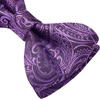 image:imageHISDERN Mens Bow Ties Self Tie Woven Satin Pocket Squares Set Formal Tuxedo Floral Paisley Bowties for Wedding Party PromPurple Paisley5