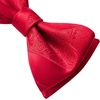 image:imageHISDERN Mens Bow Ties Self Tie Woven Satin Pocket Squares Set Formal Tuxedo Floral Paisley Bowties for Wedding Party PromRed 4