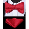 image:imageHISDERN Mens Bow Ties Self Tie Woven Satin Pocket Squares Set Formal Tuxedo Floral Paisley Bowties for Wedding Party PromRed1