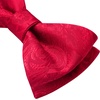 image:imageHISDERN Mens Bow Ties Self Tie Woven Satin Pocket Squares Set Formal Tuxedo Floral Paisley Bowties for Wedding Party PromRed1