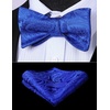 image:imageHISDERN Mens Bow Ties Self Tie Woven Satin Pocket Squares Set Formal Tuxedo Floral Paisley Bowties for Wedding Party PromRoyal Blue