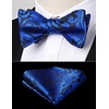 image:imageHISDERN Mens Bow Ties Self Tie Woven Satin Pocket Squares Set Formal Tuxedo Floral Paisley Bowties for Wedding Party PromRoyal Blue Paisley4