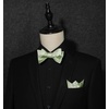 image:imageHISDERN Mens Bow Ties Self Tie Woven Satin Pocket Squares Set Formal Tuxedo Floral Paisley Bowties for Wedding Party PromSage Green Paisley11