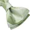 image:imageHISDERN Mens Bow Ties Self Tie Woven Satin Pocket Squares Set Formal Tuxedo Floral Paisley Bowties for Wedding Party PromSage Green Paisley11