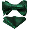 Green Paisley-5