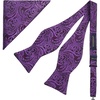 Purple Paisley-5