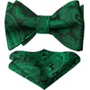 image:imageHISDERN Bowties for Men Floral Emerald Green Paisley Selftie Bowtie Dark Green Woven Silk Mens Bow Tie with Pocket Square Set for Wedding Party 2Pack