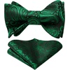 image:imageHISDERN Bowties for Men Floral Emerald Green Paisley Selftie Bowtie Woven Silk Dark Green Mens Bow Tie with Pocket Square Set for Wedding Party 2Pack