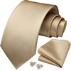 image:imageHISDERN Mens Solid Ties Formal Business Woven Tie and Pocket Square Cufflinks Set Classic Silk Satin Necktie WeddingEchampagne 3