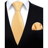 image:imageHISDERN Mens Solid Ties Formal Business Woven Tie and Pocket Square Cufflinks Set Classic Silk Satin Necktie WeddingEyellow Light 4
