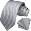 image:imageHISDERN Mens Ties Solid Color Tie and Pocket Square Set Classic Woven Formal Neckties amp Handkerchief Wedding PartyCgrey