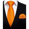 image:imageHISDERN Mens Ties Solid Color Tie and Pocket Square Set Classic Woven Formal Neckties amp Handkerchief Wedding PartyOrange Floral