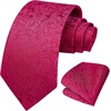 image:imageHISDERN Mens Ties Solid Color Tie and Pocket Square Set Classic Woven Formal Neckties amp Handkerchief Wedding PartyPink Paisley