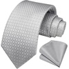image:imageHISDERN Mens Ties Solid Color Tie and Pocket Square Set Classic Woven Formal Neckties amp Handkerchief Wedding PartySilver