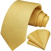 image:imageHISDERN Mens Ties Solid Color Tie and Pocket Square Set Classic Woven Formal Neckties amp Handkerchief Wedding PartyYellow