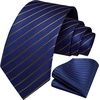 image:imageHISDERN Stripe Tie Mens Ties with Pocket Square Set Classic 34 Silk Formal Necktie Handkerchief for Business WeddingB02navy  Gold