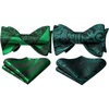 image:imageHISDERN Bowties for Men Floral Emerald Green Paisley Selftie Bowtie Forest Green Woven Silk Mens Bow Tie with Pocket Square Set for Wedding Party 2Pack