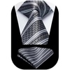 image:imageHISDERN Stripe Tie Mens Ties with Pocket Square Set Classic 34 Silk Formal Necktie Handkerchief for Business WeddingA08grey  Silver