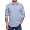 Blue Gingham