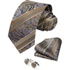 image:imageHISDERN Ties for Men Paisley Tie and Pocket Square Cufflinks Set Formal Classic Floral Necktie Handkerchief Wedding PartySyellowBrown Striped