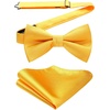 image:imageHISDERN Mens Yellow Necktie Handkerchief Elegant Silk ties and Pocket Square Set Classic Light Yellow Bow Tie for Wedding Party