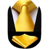 image:imageHISDERN Mens Yellow Necktie Handkerchief Elegant Silk ties and Pocket Square Set Classic Light Yellow Bow Tie for Wedding Party