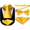 image:imageHISDERN Mens Yellow Necktie Handkerchief Elegant Silk ties and Pocket Square Set Classic Light Yellow Bow Tie for Wedding Party