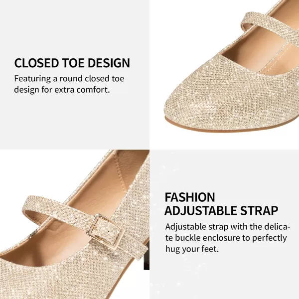 Trary Mary Jane Shoes Women, Chunky Mary Janes Heels for Women Shoes Dressy Casual, Dress Shoes for Women Block Heels Closed Toe Mary Jane Pumps