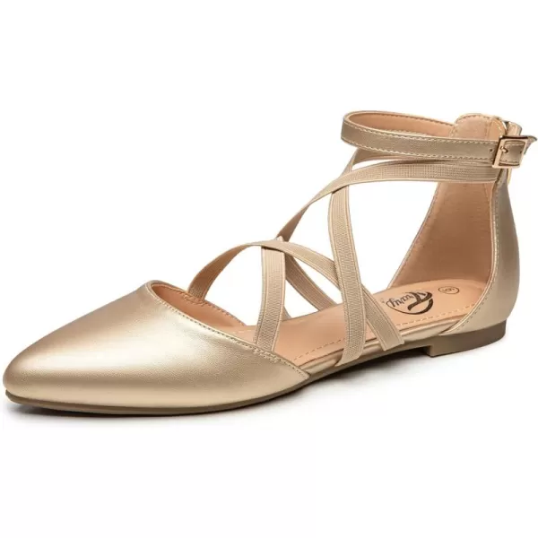 Trary Black Flats for Women,Women's Flats Shoes, Mary Jane Shoes Women, Ballet Flats,Pointed Toe Flats Shoes Women Dressy Comfortable, Womens Flats with Ankle Strap, Womens Shoes Flats,Strappy Flats