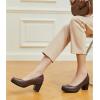 imageTrary Womens Chunky Low Block Heels Slip on PumpsComfortable Classic Closed Round Toe Work Dress Wedding Office Lady Pumps ShoesDark Brown