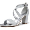 Glitter Silver