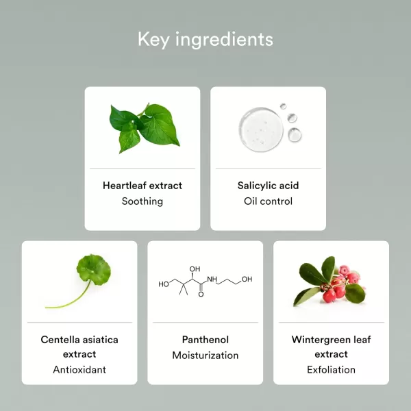 Abib Acne Foam Cleanser Heartleaf Foam 507 fl oz  150 ml I Hydrating Mild Acidic Daily Facial Cleanser Panthenol B5 Soothing for Irritated Skin and Acne Pimple Care