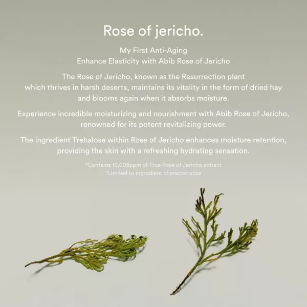 Abib Collagen Eye Crme Jericho Rose Tube for Dark Circles and Puffiness Under Eye Fine Lines