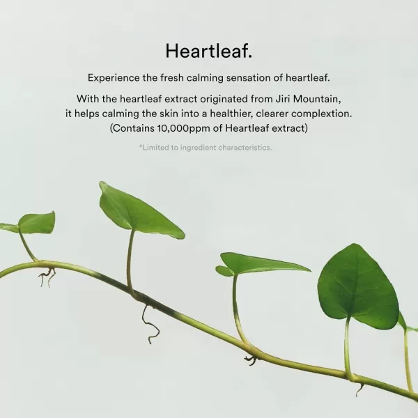 Abib Collagen Gel Mask Heartleaf Jelly 10 Sheets I Vegan Collagen Cooling Nourishing Hyaluronic Acid Hydrogel Facial Mask