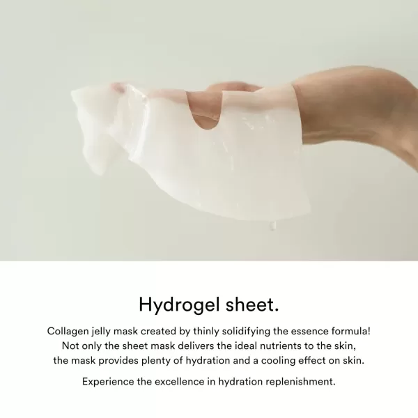 Abib Collagen Gel Mask Jericho Rose Jelly 10 Sheets I Vegan Collagen Cooling Nourishing Hyaluronic Acid Hydrogel Facial Mask